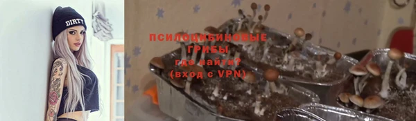 амфетамин Алексеевка