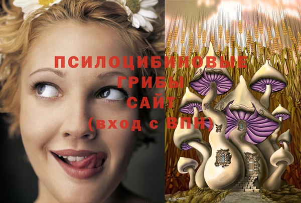 амфетамин Алексеевка